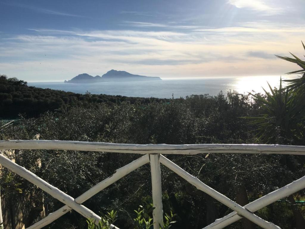 Villa Manu Massa Lubrense Eksteriør billede