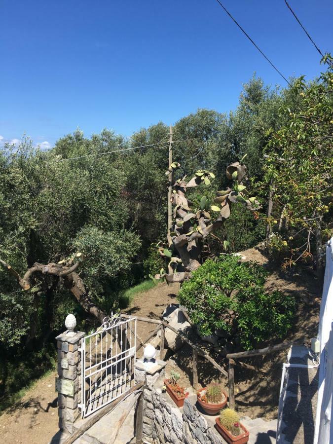 Villa Manu Massa Lubrense Eksteriør billede